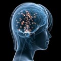 Mindfulness Meditation